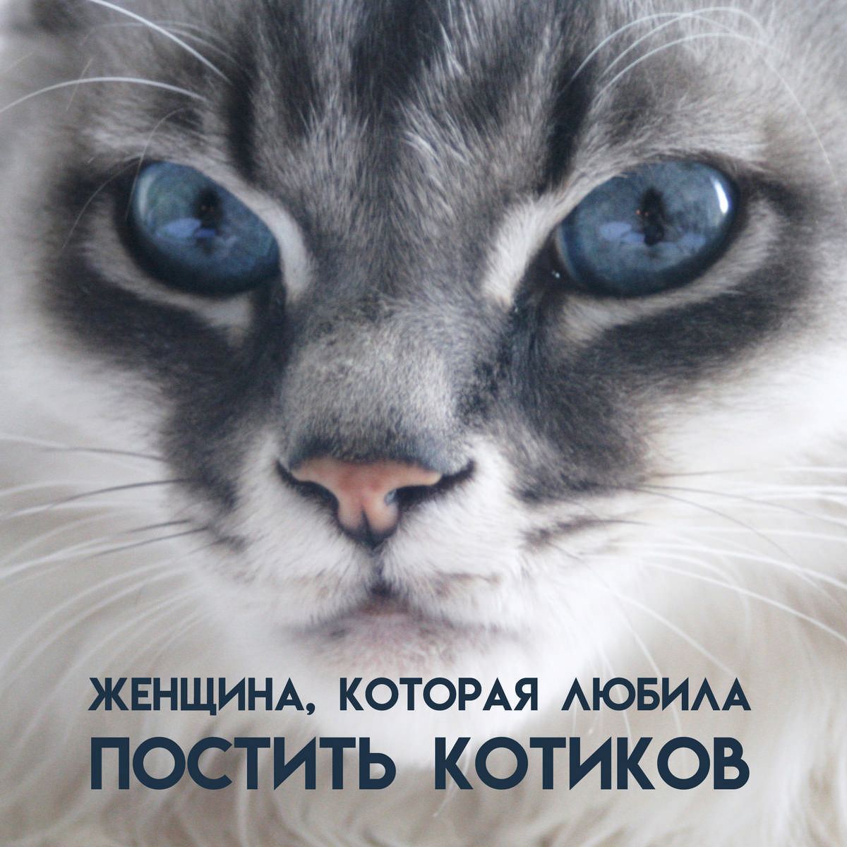Женщина, которая любила постить котиков